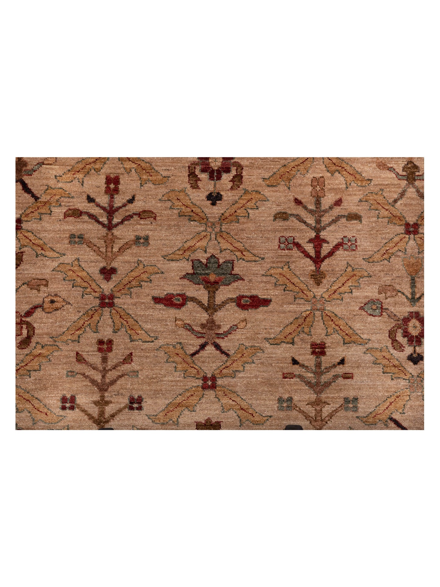 Elvan Yesim Ivory Gold 12x17.5 Hand Knotted Rug