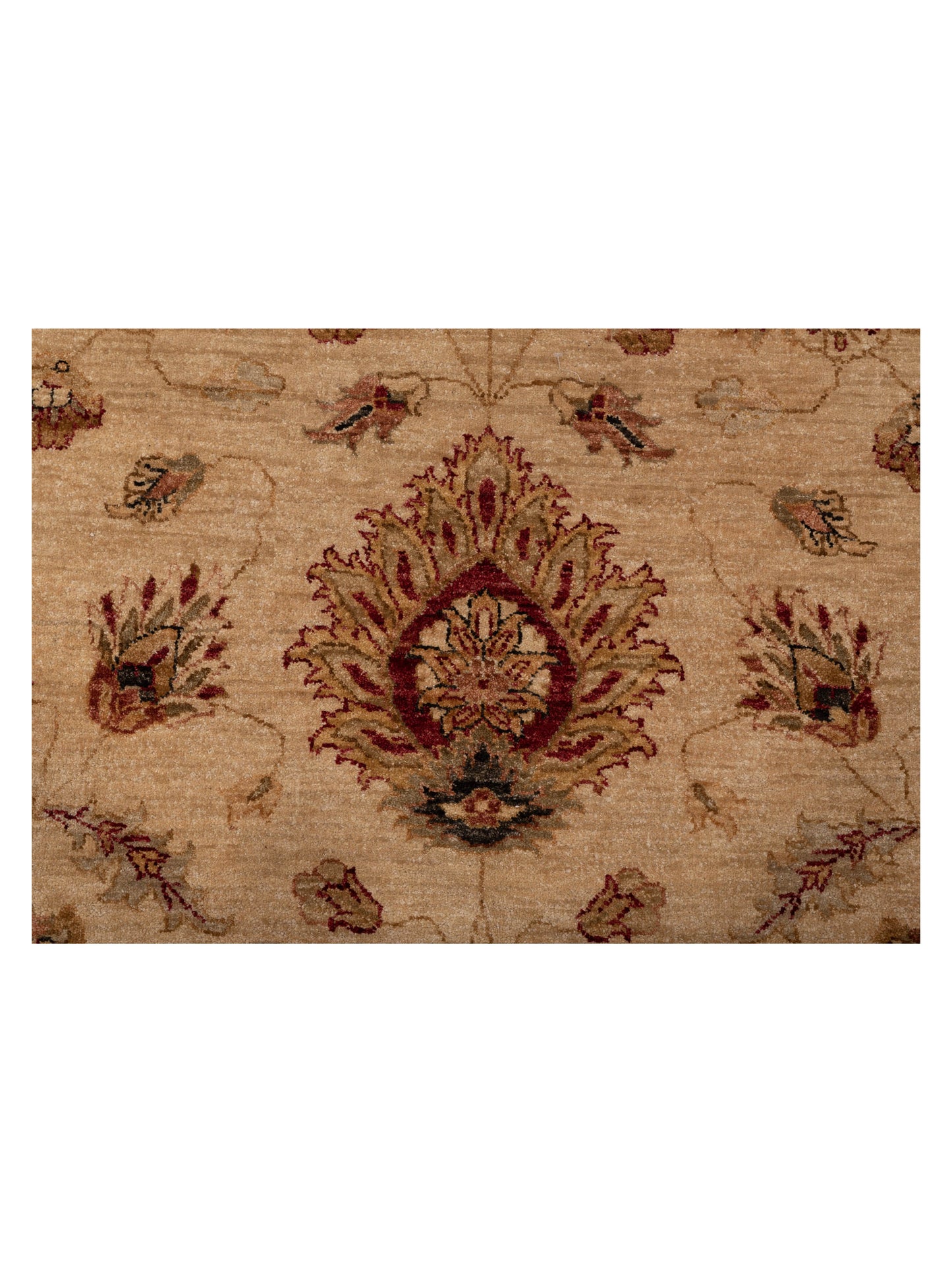 Ghazani 81154 Ivory Red 12x18 Hand Knotted Rug