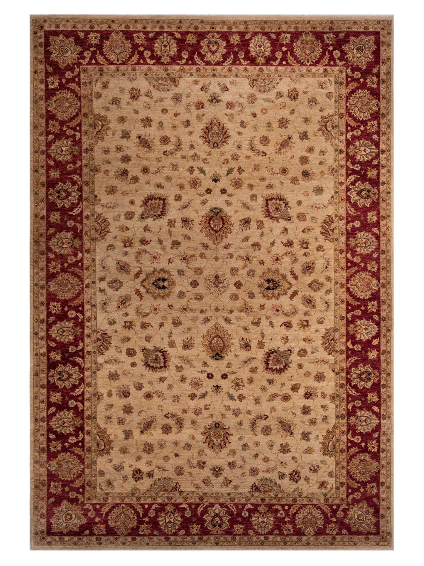 Rajpur Ghazani  Ivory Red Transitional