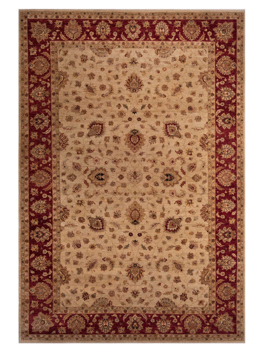 Rajpur Ghazani  Ivory Red Transitional