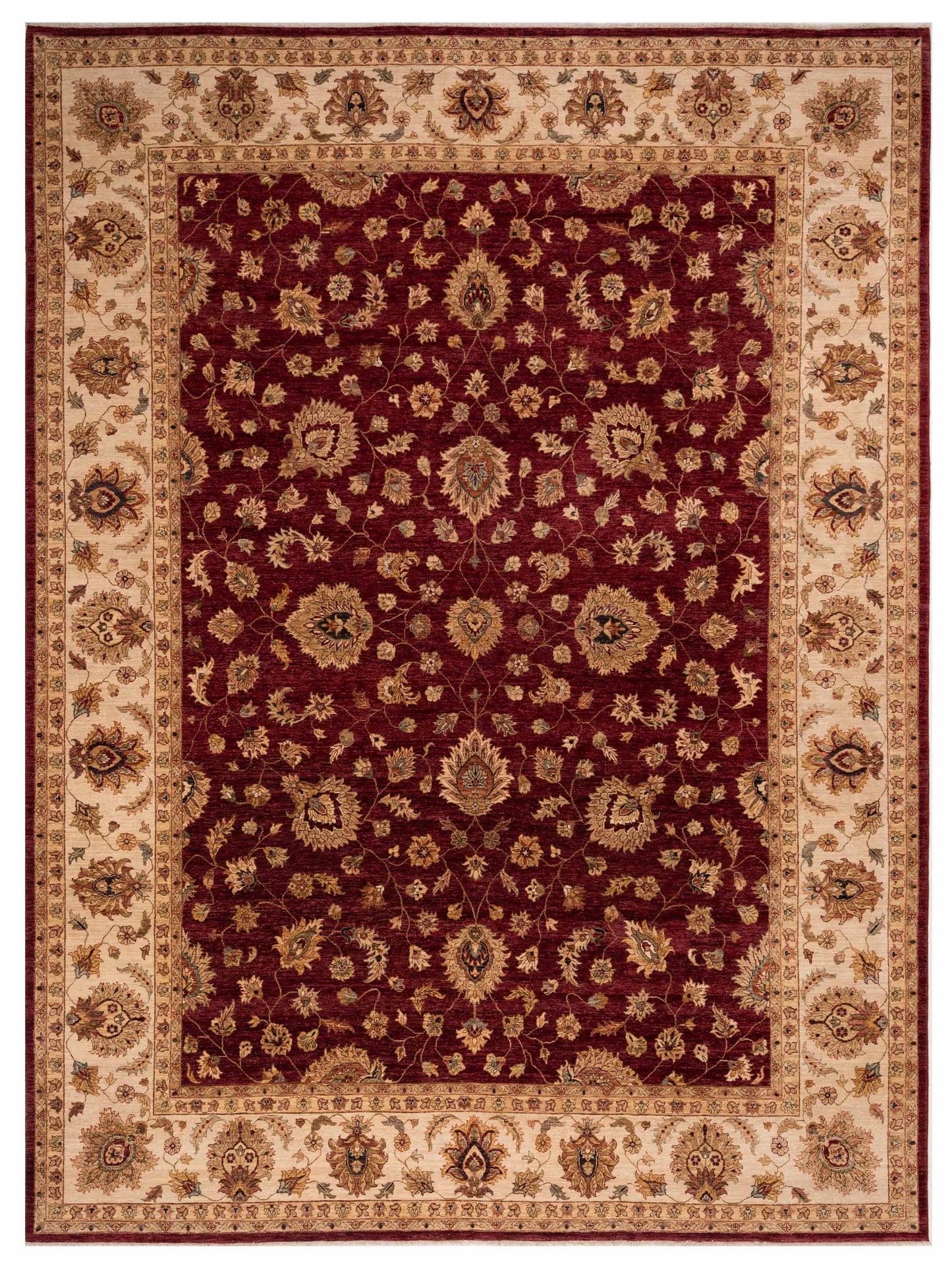Rajpur Ghazani  Red Ivory Transitional