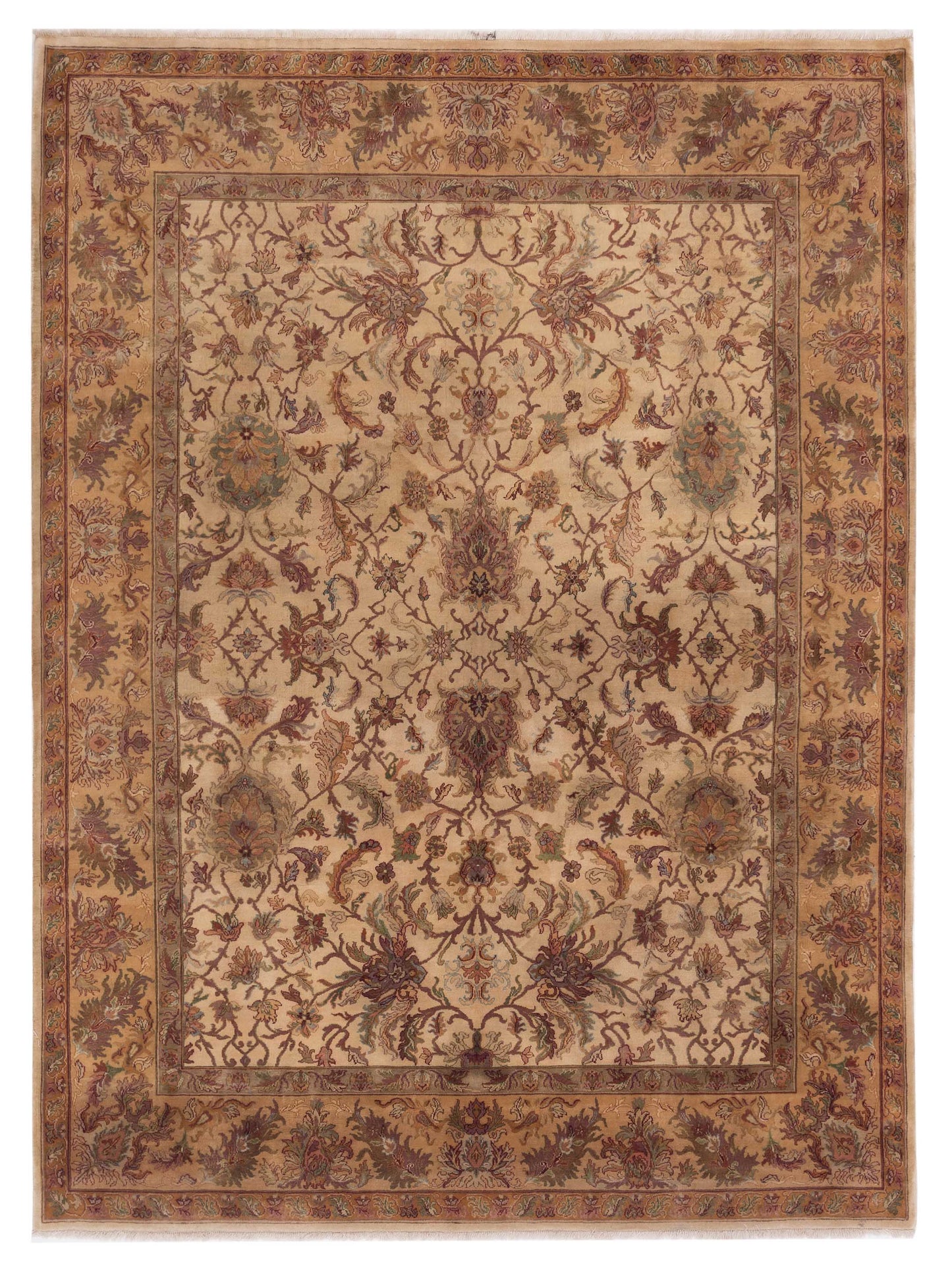 Rajpur Crown Beige Gold Transitional