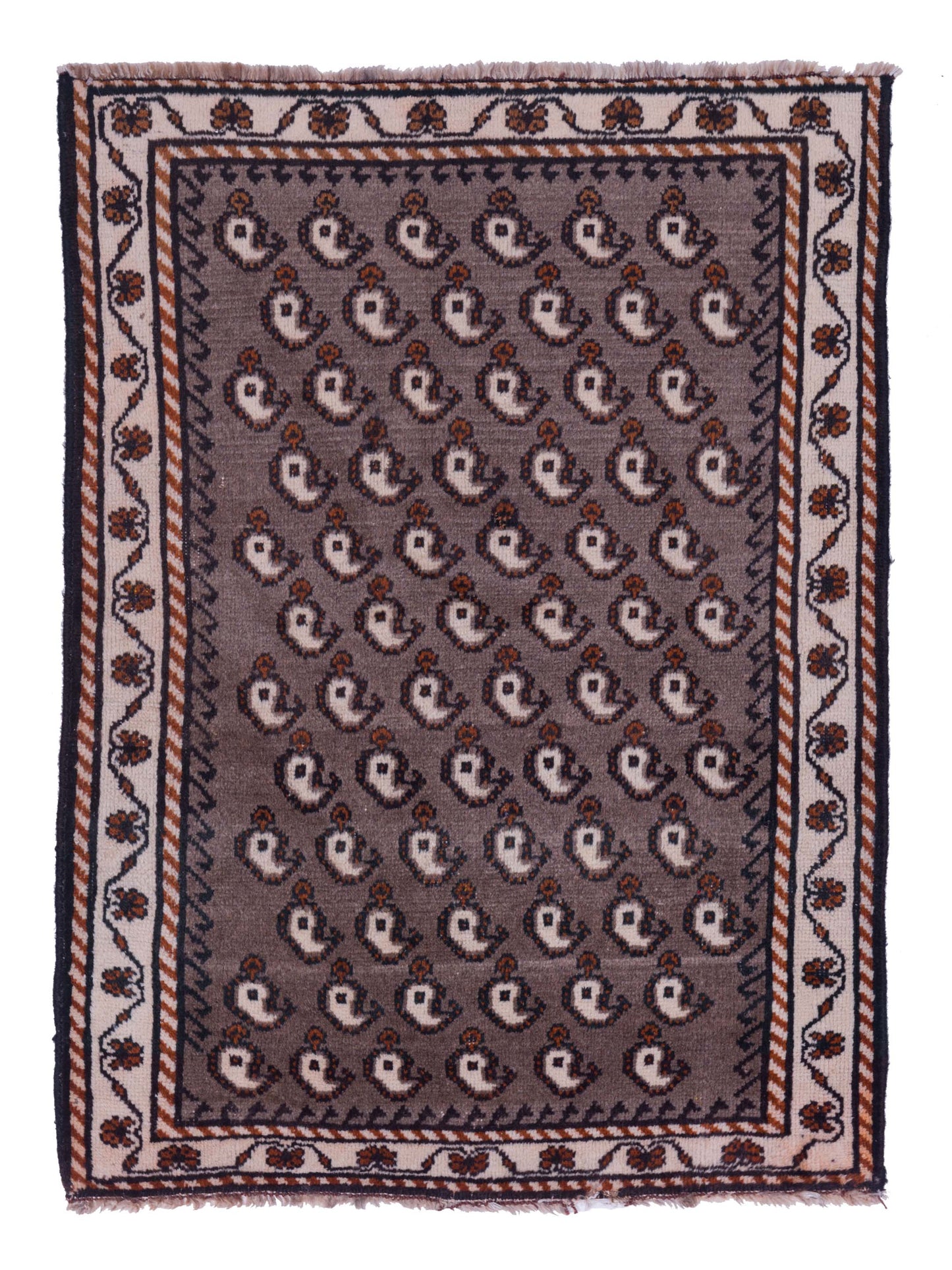 Pasha Antique Heirloom Brown Ivory Traditional