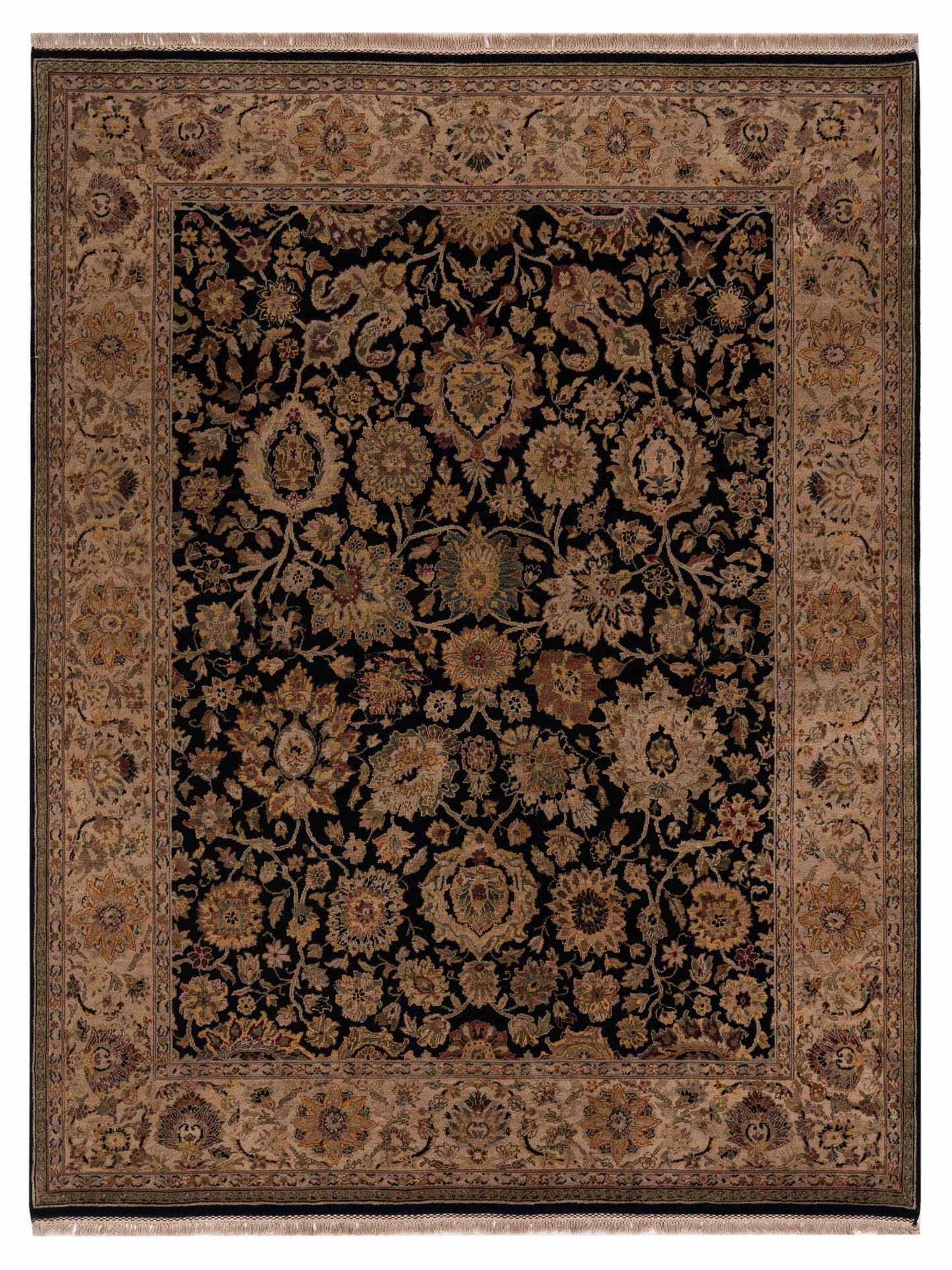 Rajpur Crown Black Ivory Transitional