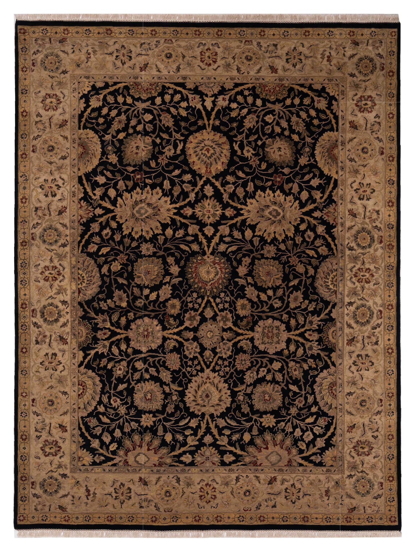 Rajpur Crown Black Ivory Transitional