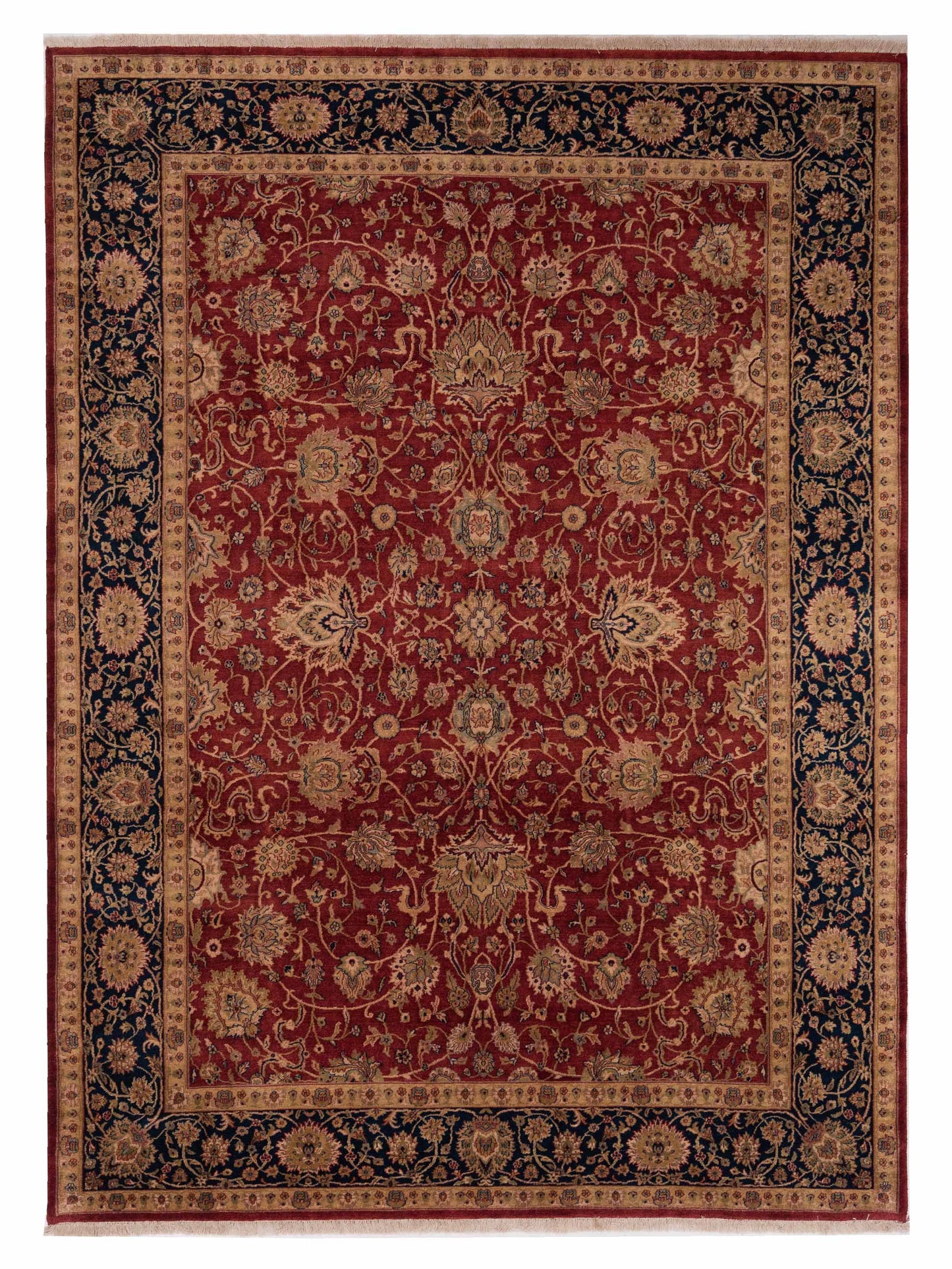 Rajpur Crown Red Navy Transitional