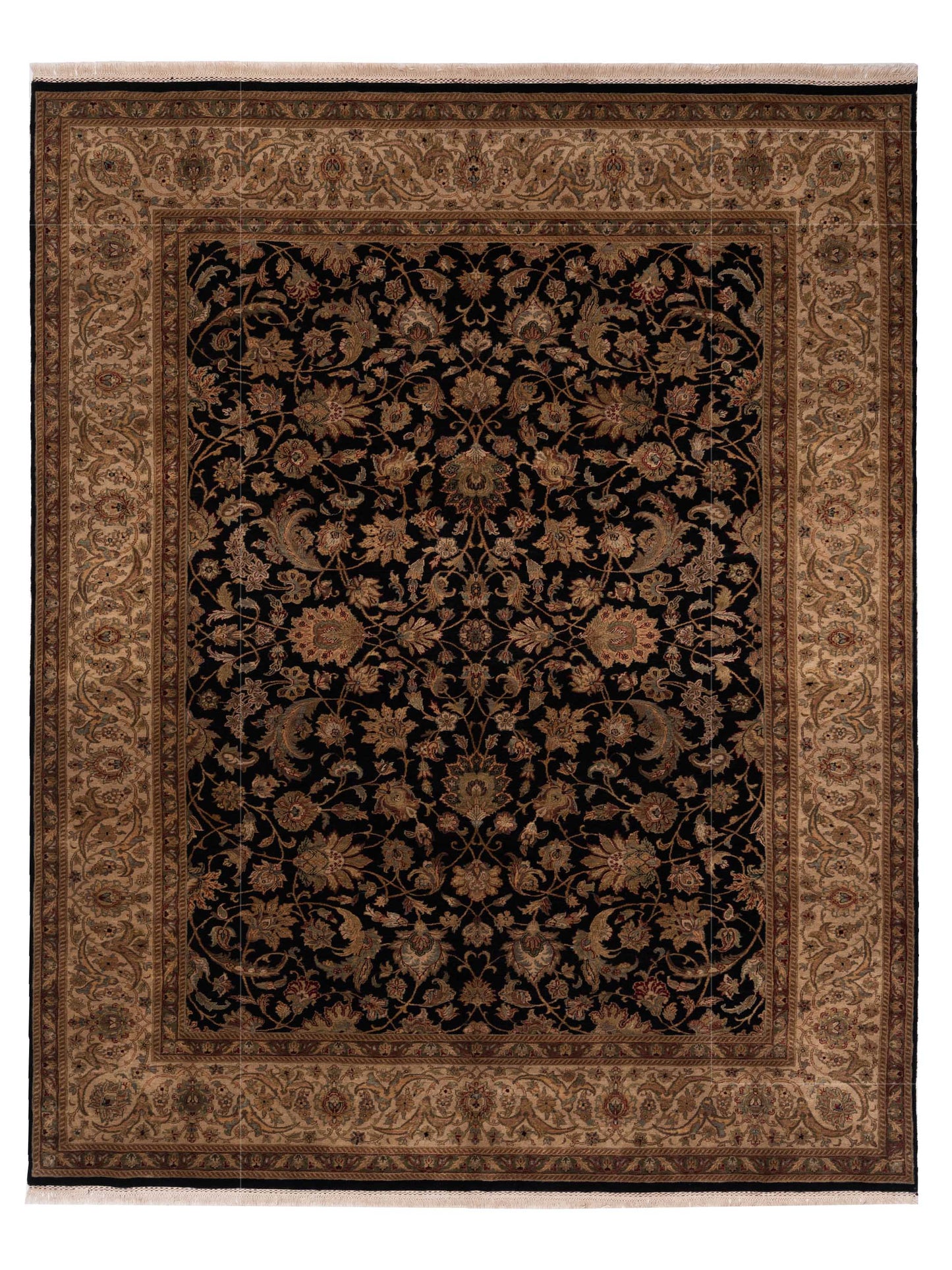 Rajpur Crown Black Ivory Transitional