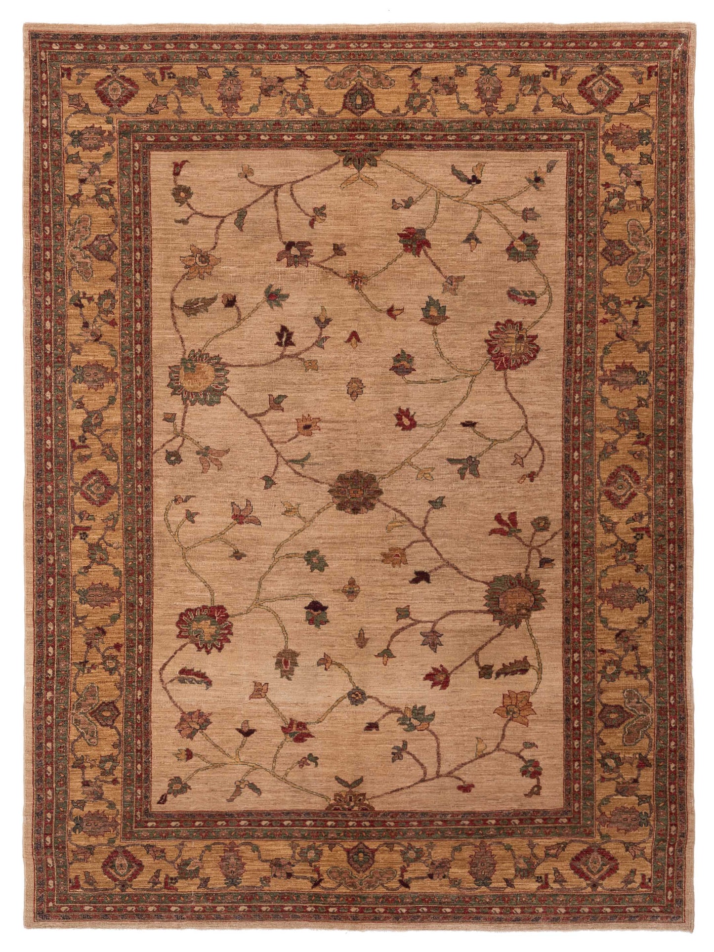Pasha Elvan Ivory Gold Traditional