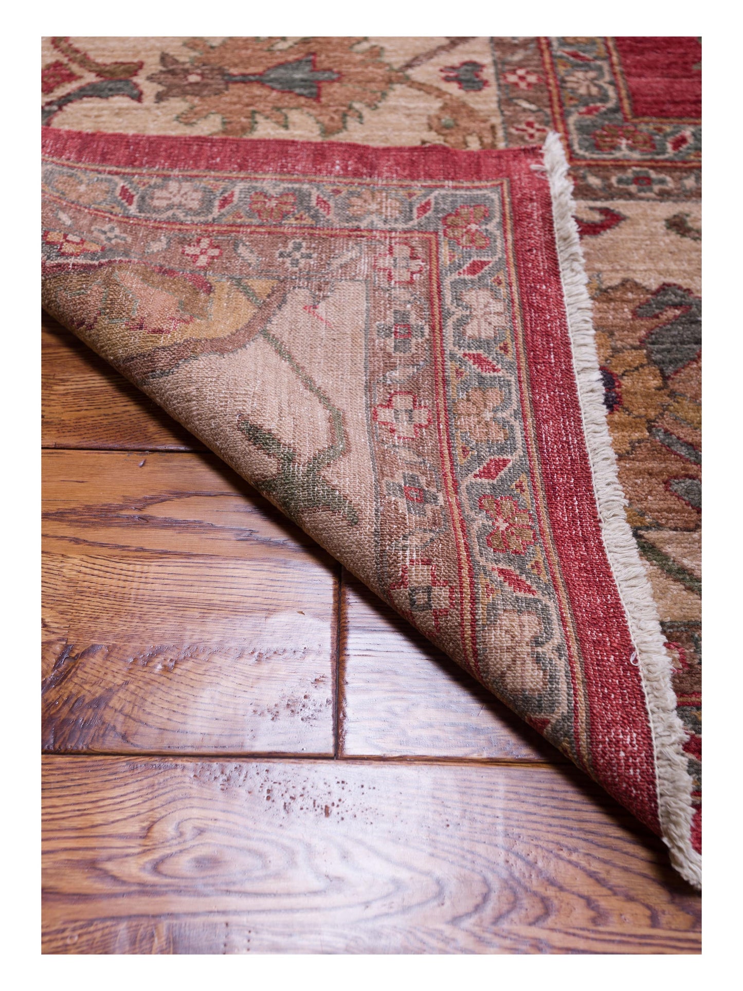 Elvan Tansu Red Ivory 12.4x17.11 Hand Knotted Rug