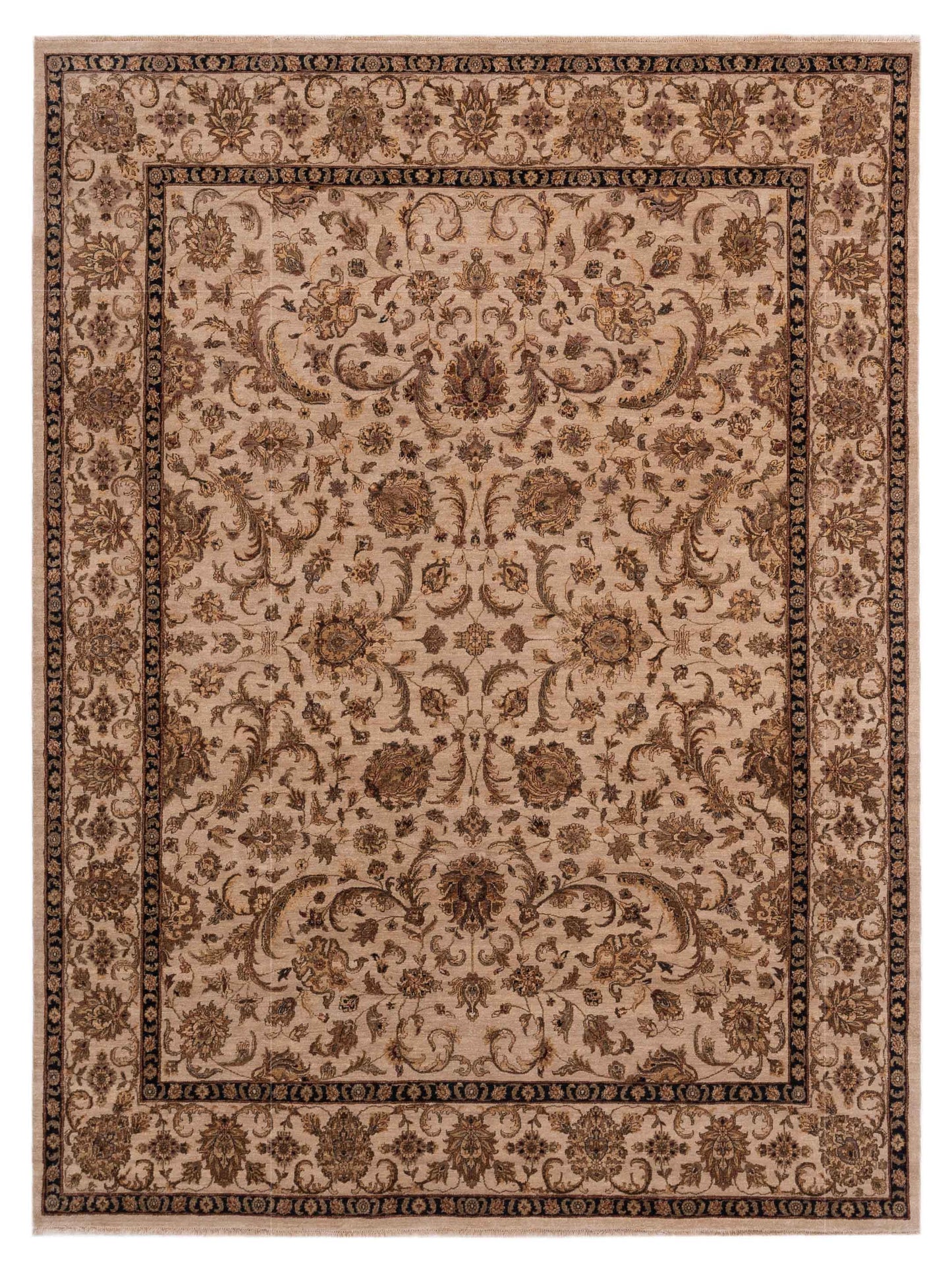 Rajpur Crown Ivory Ivory Transitional