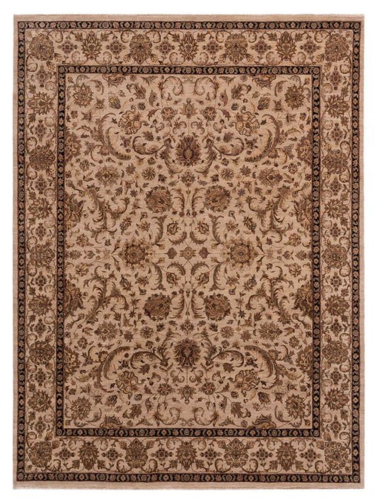 Rajpur Crown  Ivory Ivory Transitional