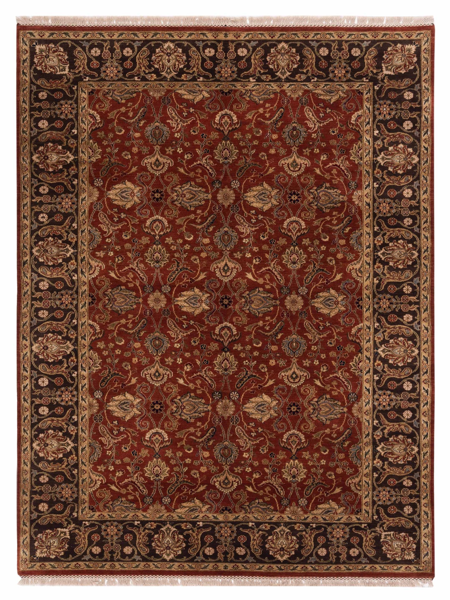 Rajpur Crown Rust Brown Transitional