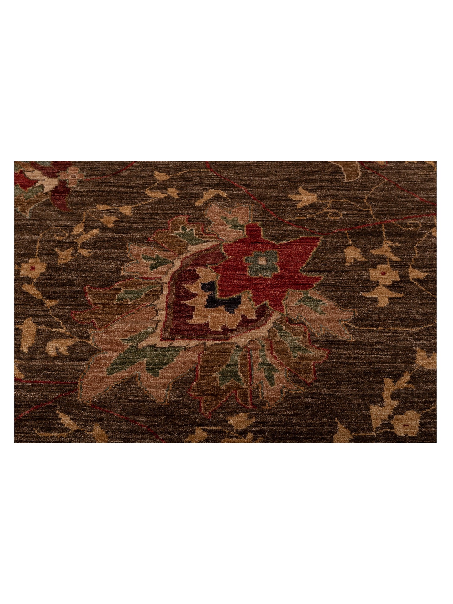 Elvan Tamer Dark Brown Gold 12.4x17.11 Hand Knotted Rug