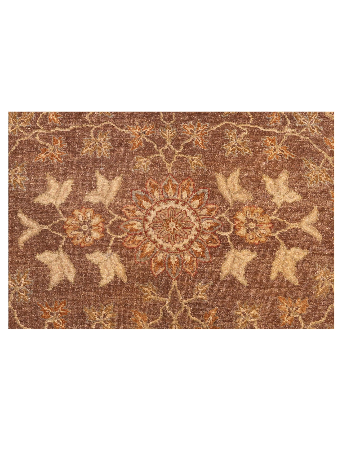 Ghazani 98694 Brown Ivory 9x12.4 Hand Knotted Rug