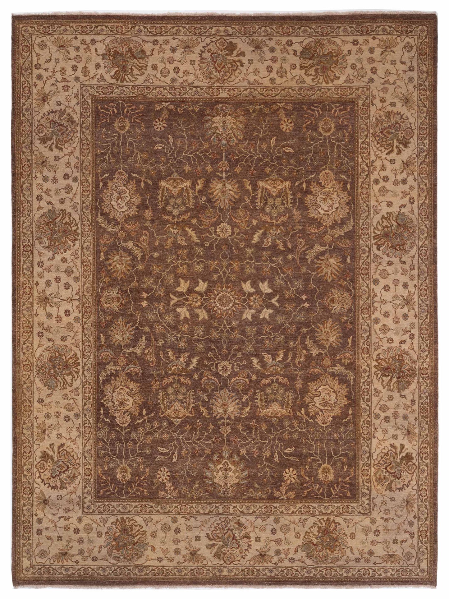 Rajpur Ghazani Brown Ivory Traditional