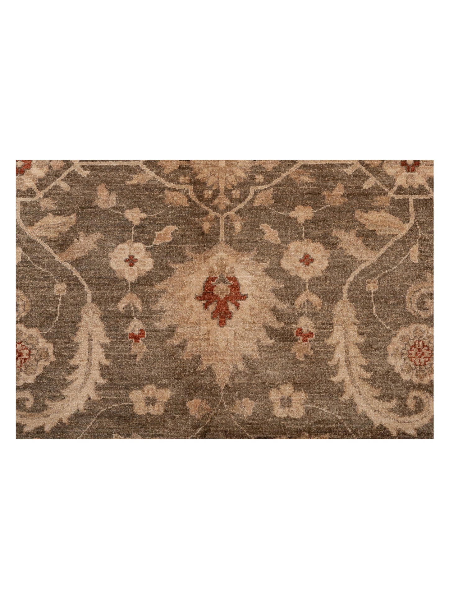 Sultan 104279 Green Ivory 9.3x11.6 Hand Knotted Rug