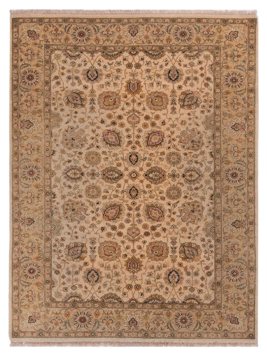 Rajpur Haji Jalili  Ivory Gold Transitional