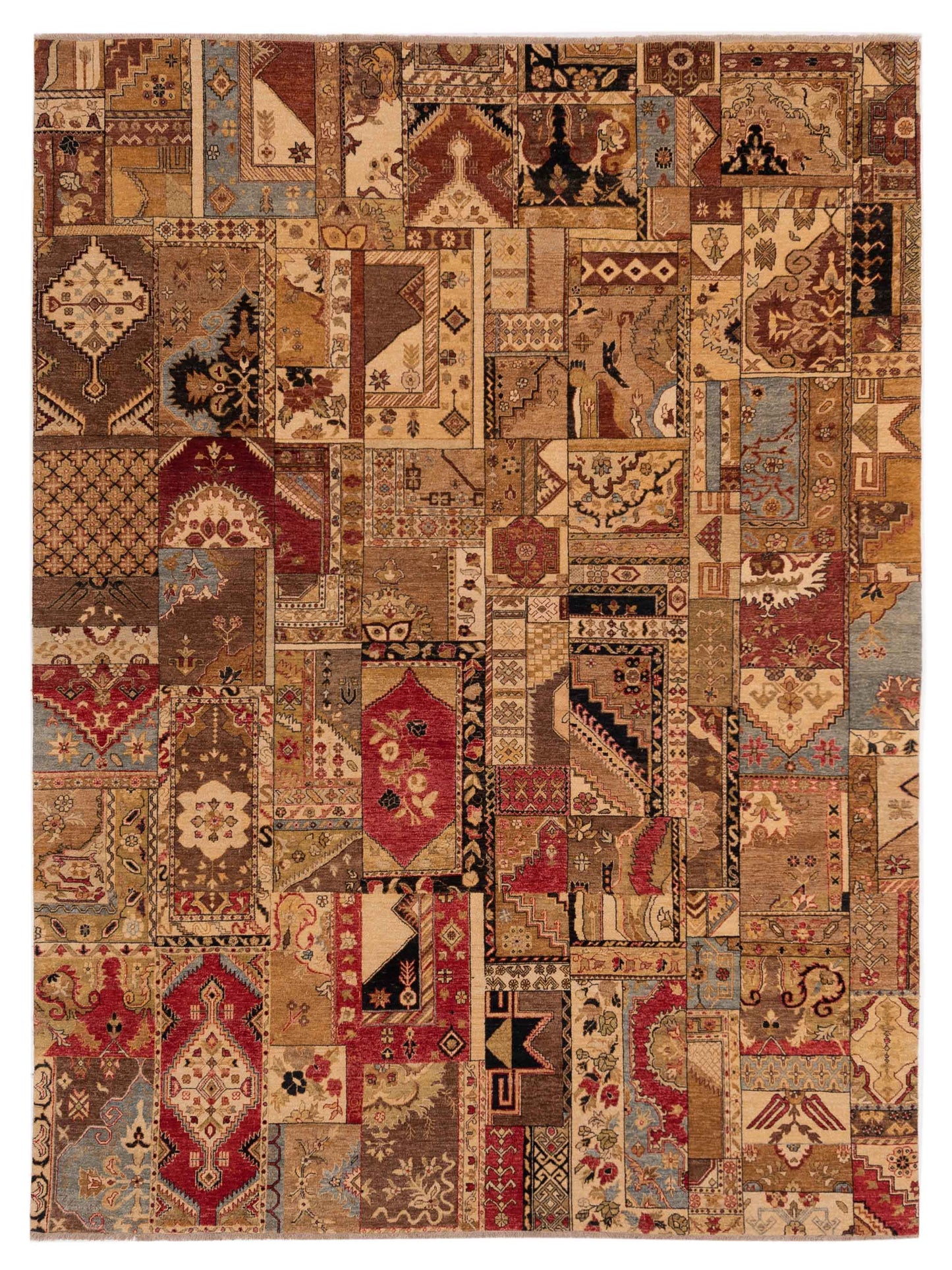 Rajpur Ghazani Multi Multi Traditional
