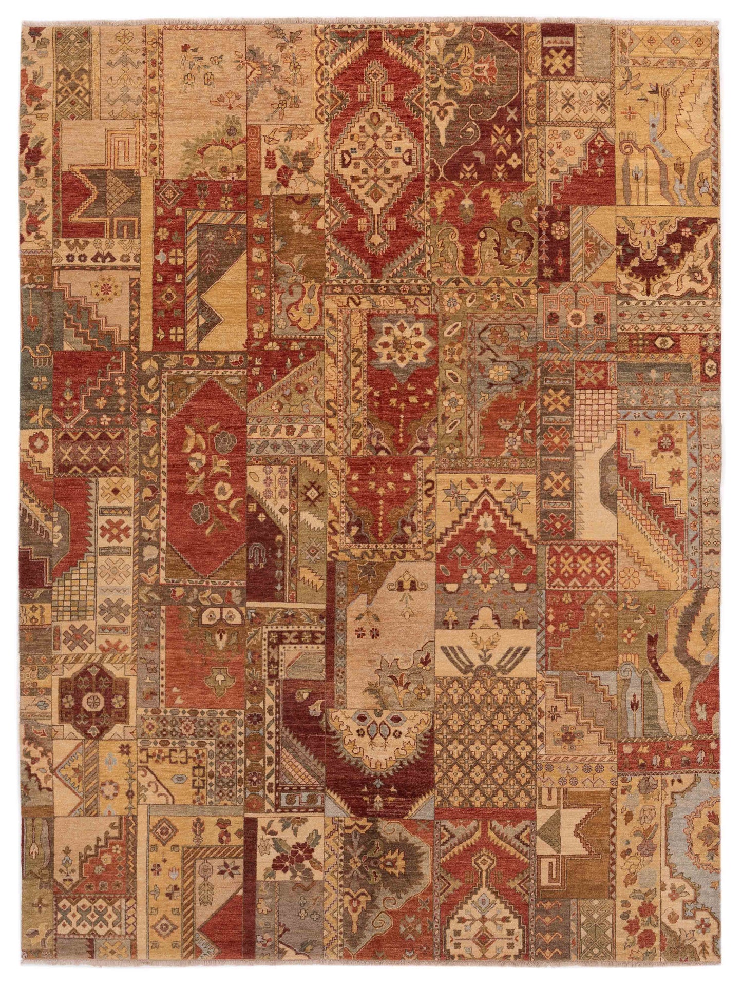 Rajpur Ghazani Multi Transitional