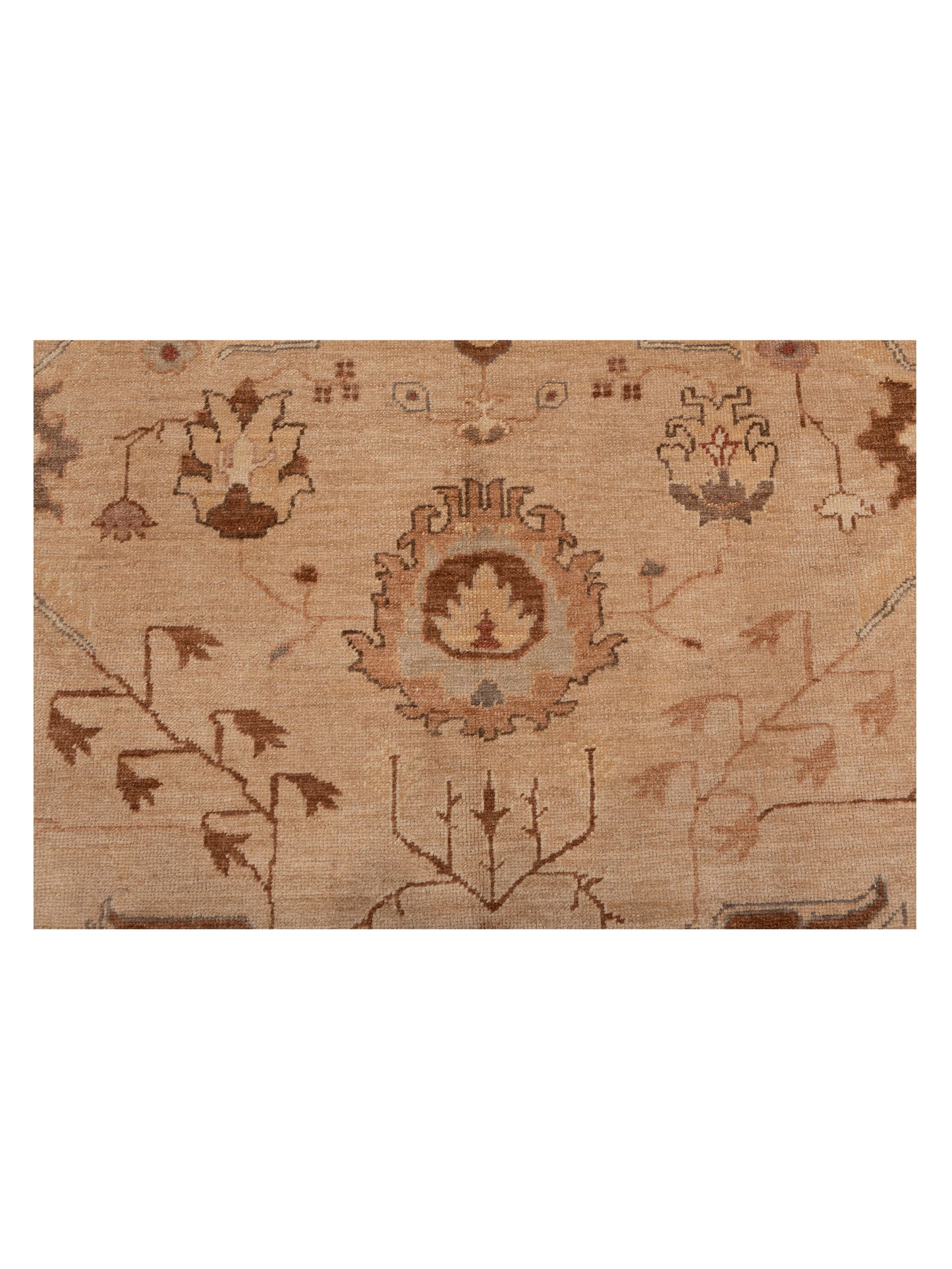 Angora Oushak 108101 Ivory Gold 9.9x13.8 Hand Knotted Rug