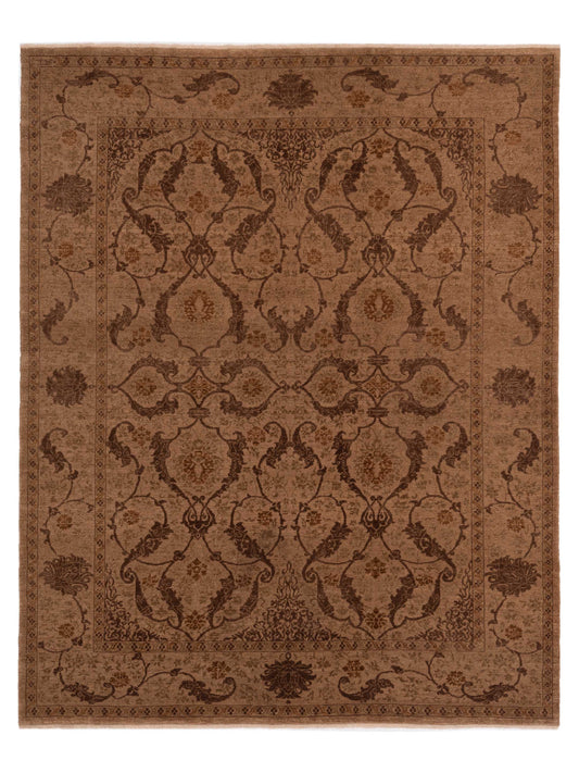 Pasha Defne  Brown Brown Transitional
