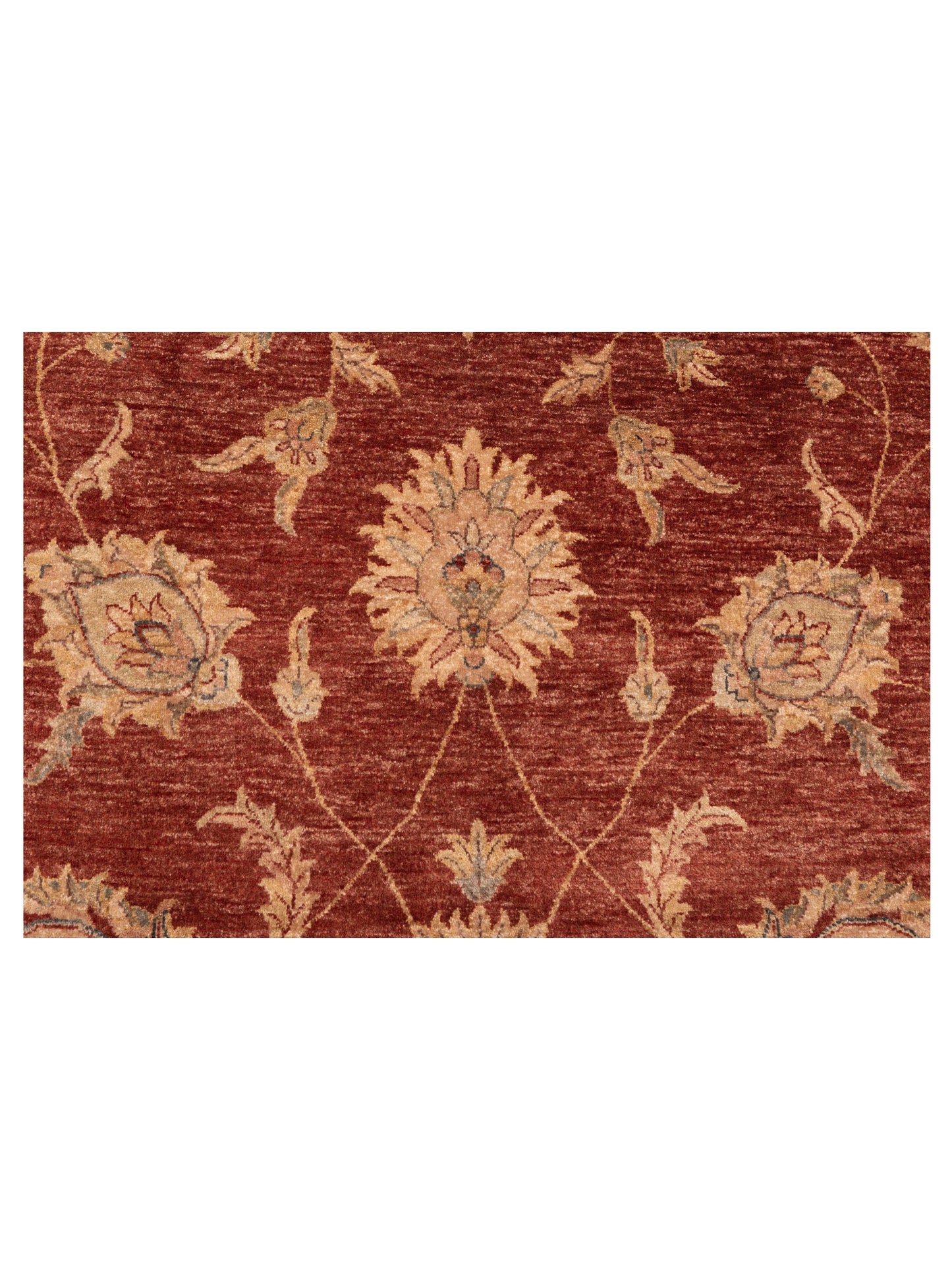 Ghazani 110930 Rust Camel 9.1x12.1 Hand Knotted Rug