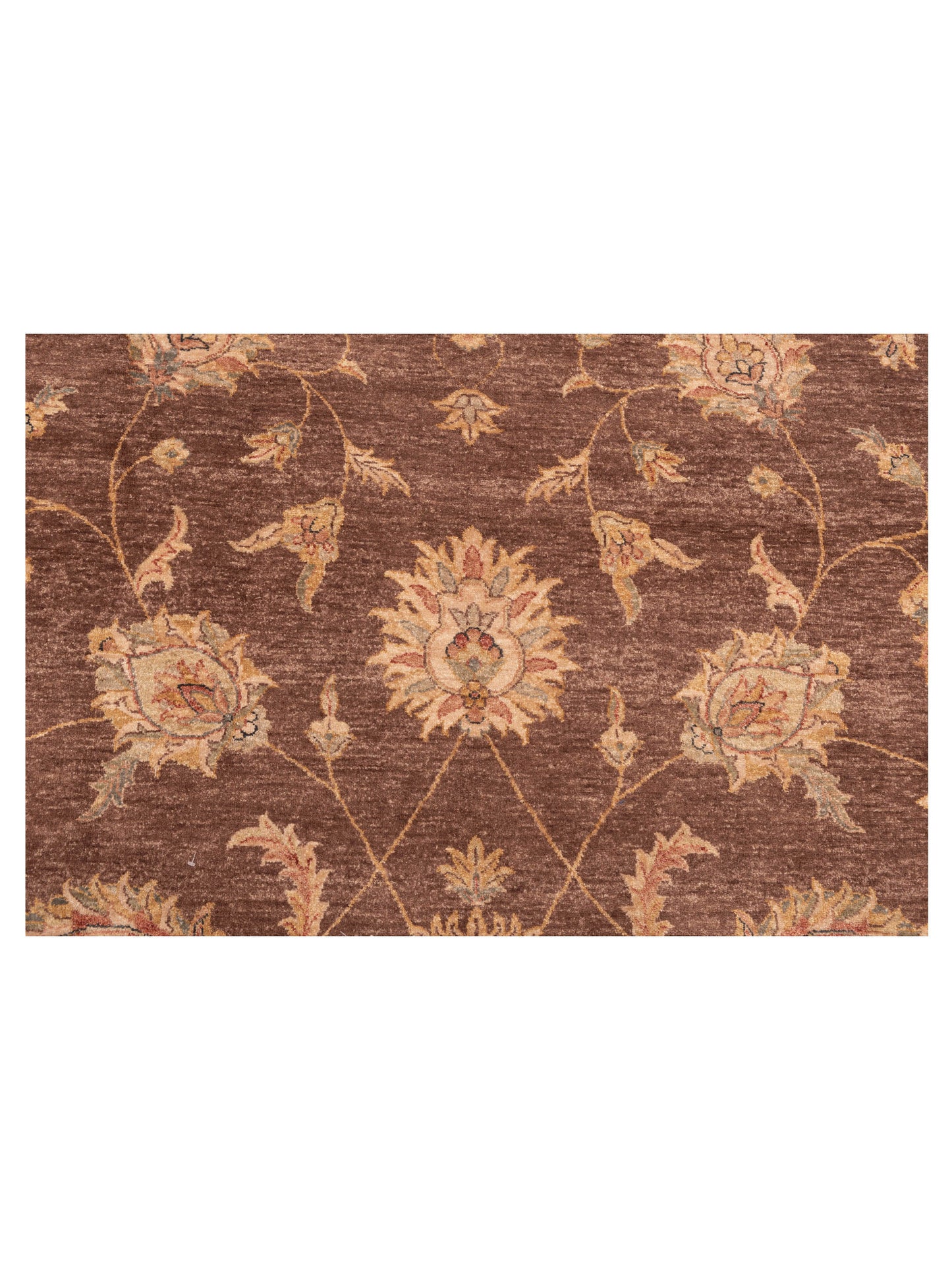 Ghazani 110933 Brown Ivory 9x12.4 Hand Knotted Rug