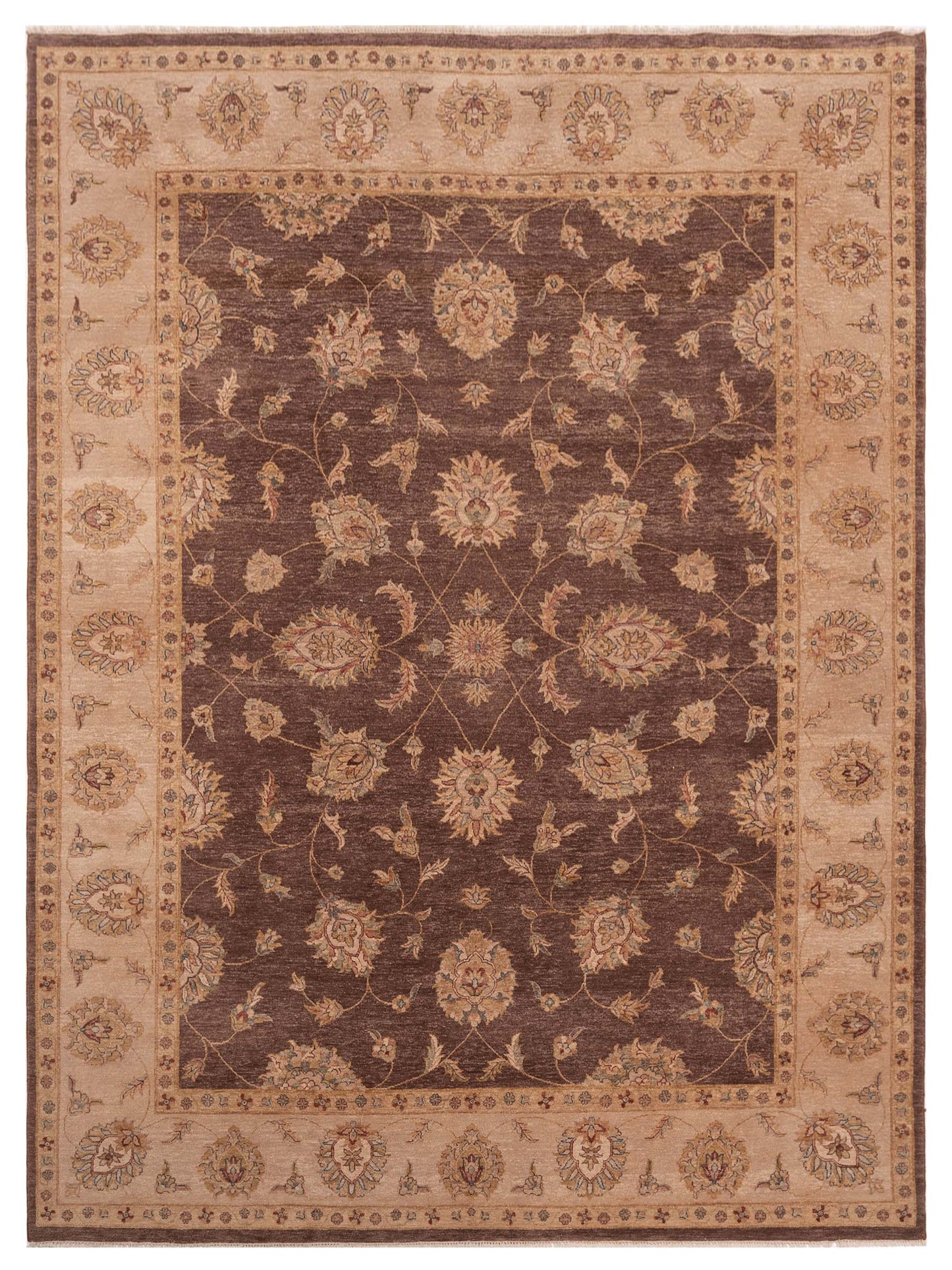 Rajpur Ghazani Brown Ivory Traditional