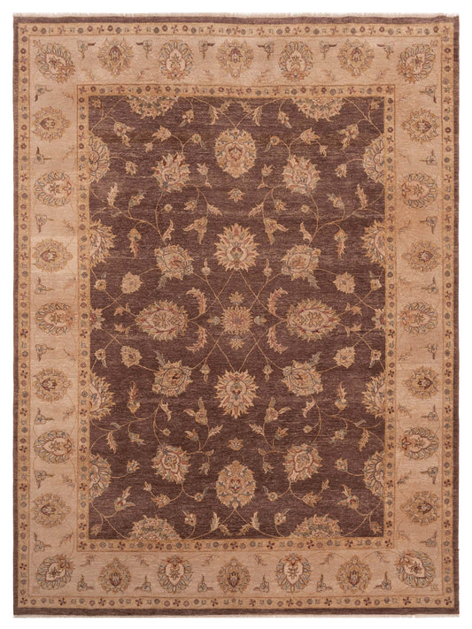 Rajpur Ghazani  Brown Ivory Traditional