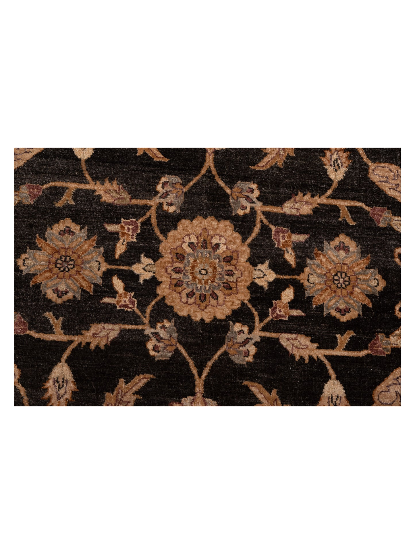 Ghazani 110934 Black Ivory 8x9.10 Hand Knotted Rug