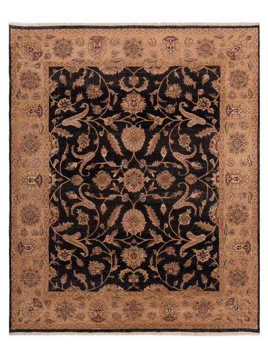 Rajpur Ghazani  Black Ivory Traditional