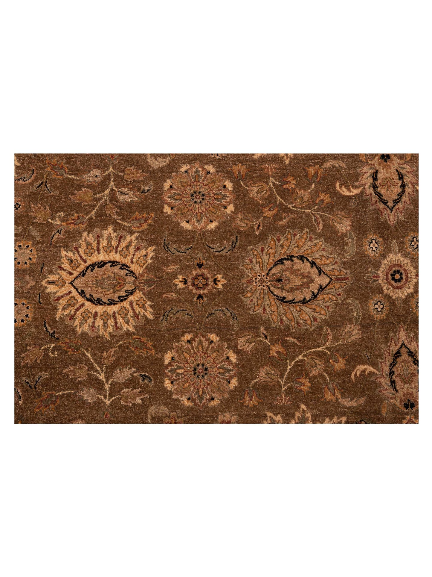 Haji Jalili 111255 Brown Ivory 9x12.11 Hand Knotted Rug