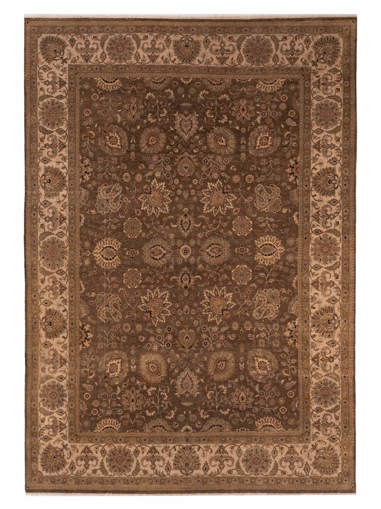 Rajpur Haji Jalili Brown Ivory Transitional