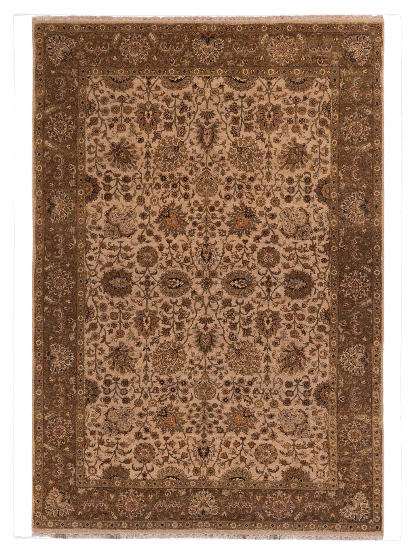 Rajpur Haji Jalili Beige Brown Transitional