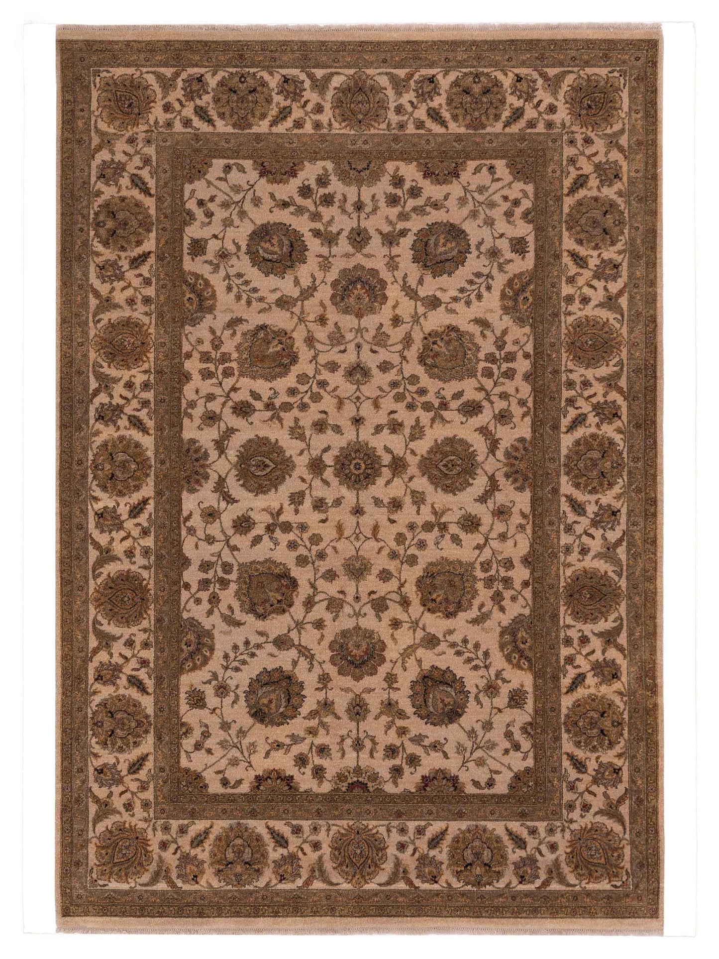 Rajpur Haji Jalili Beige Beige Transitional
