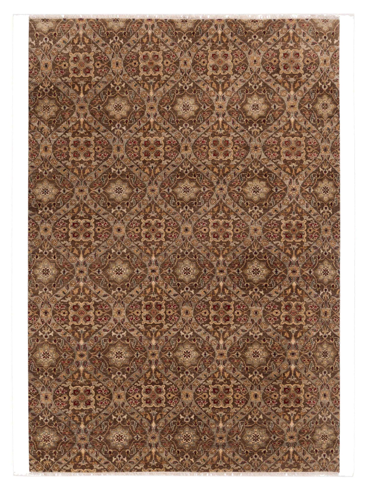 Rajpur Haji Jalili Brown Brown Transitional
