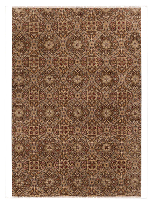 Rajpur Haji Jalili  Brown Brown Transitional