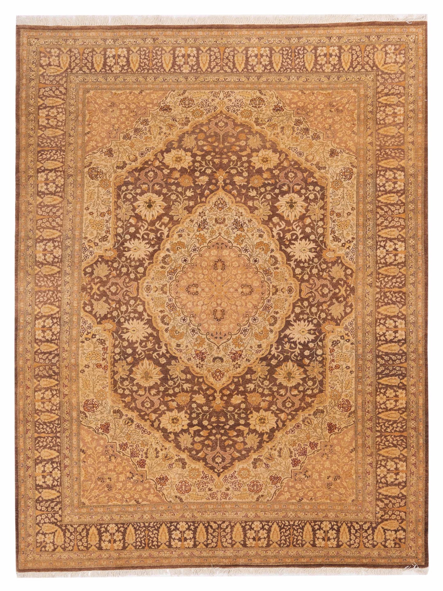Rajpur Haji Jalili Brown Brown Transitional