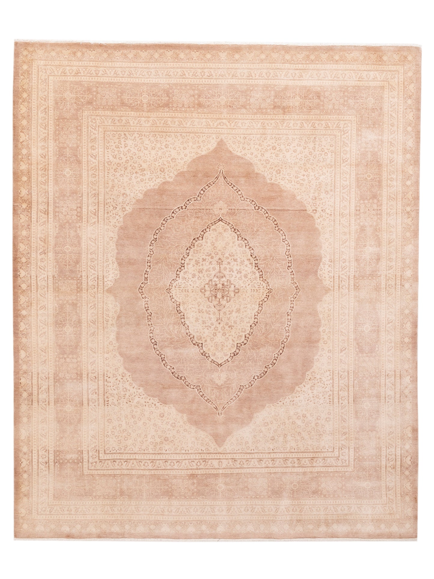 Rajpur Haji Jalili Brown Brown Transitional
