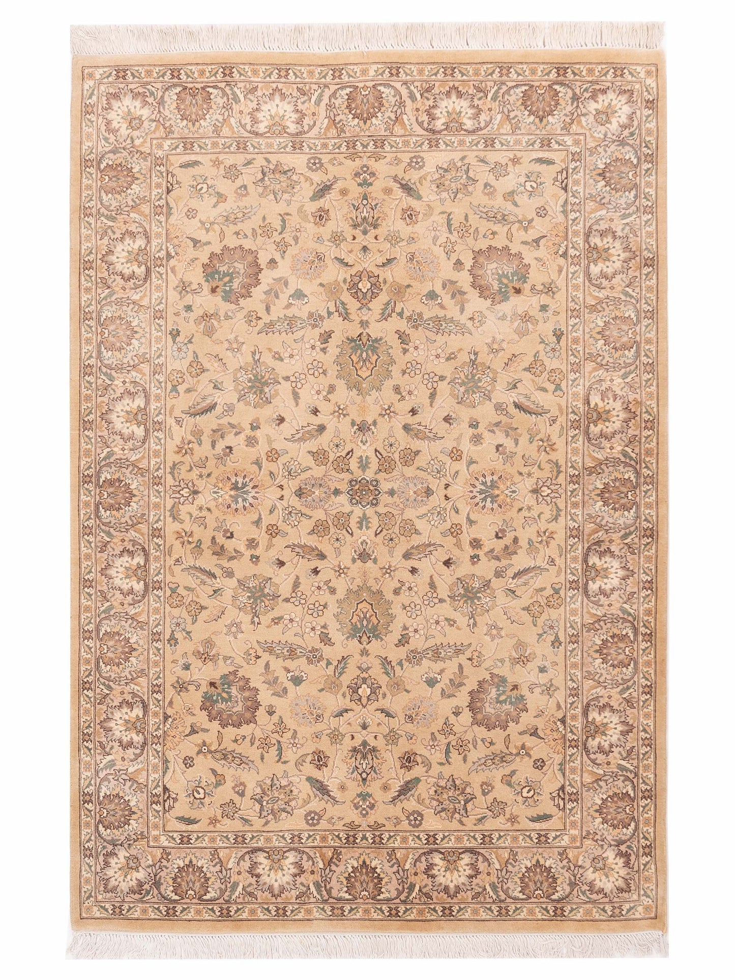 Rajpur Haji Jalili Cream Transitional