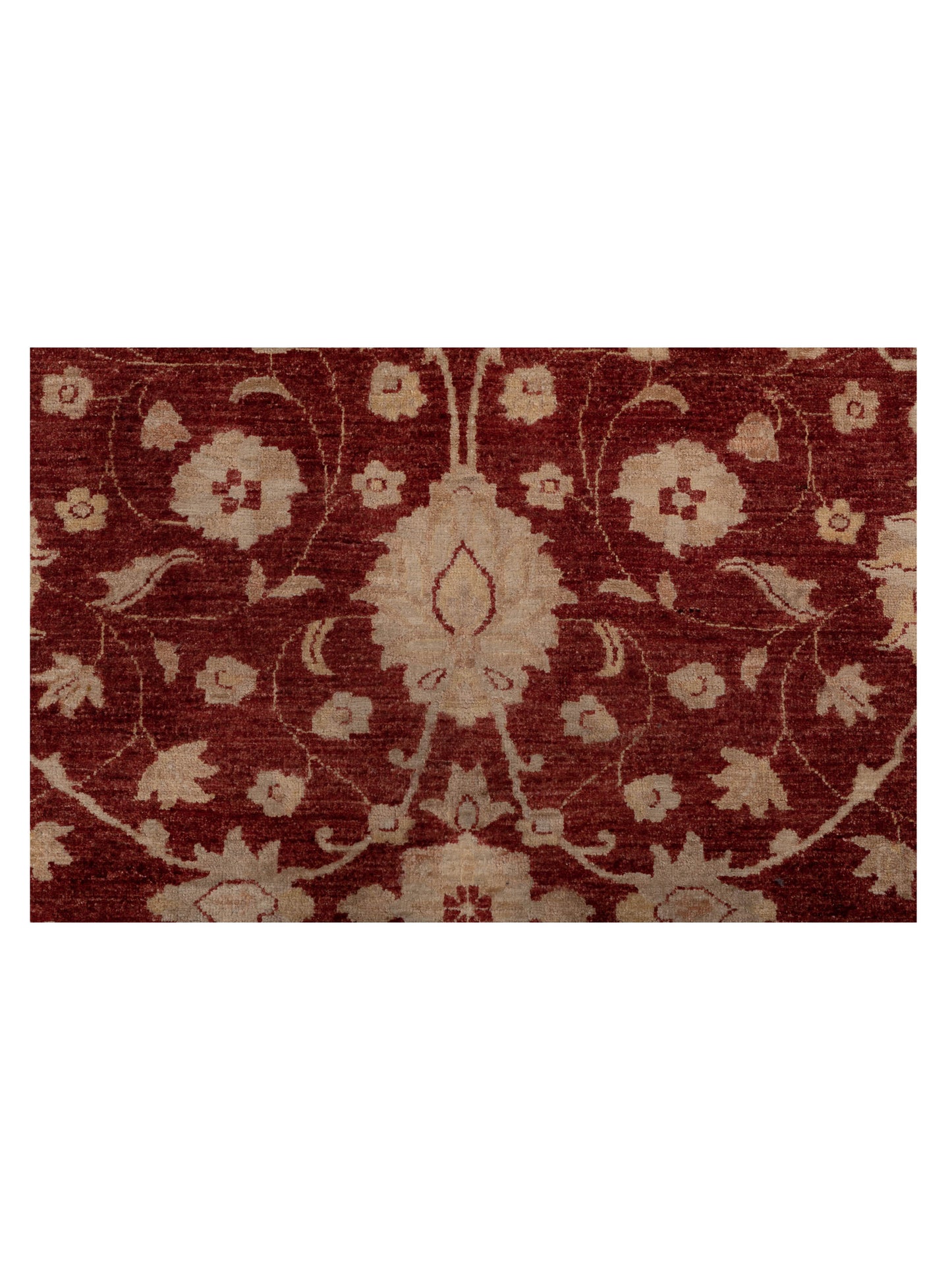 Sultan 113003 Red Ivory 11.10x14.8 Hand Knotted Rug