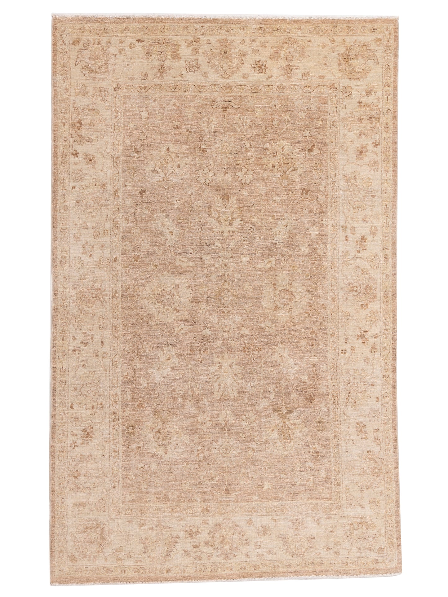 Nomad Laila Brown Ivory Transitional