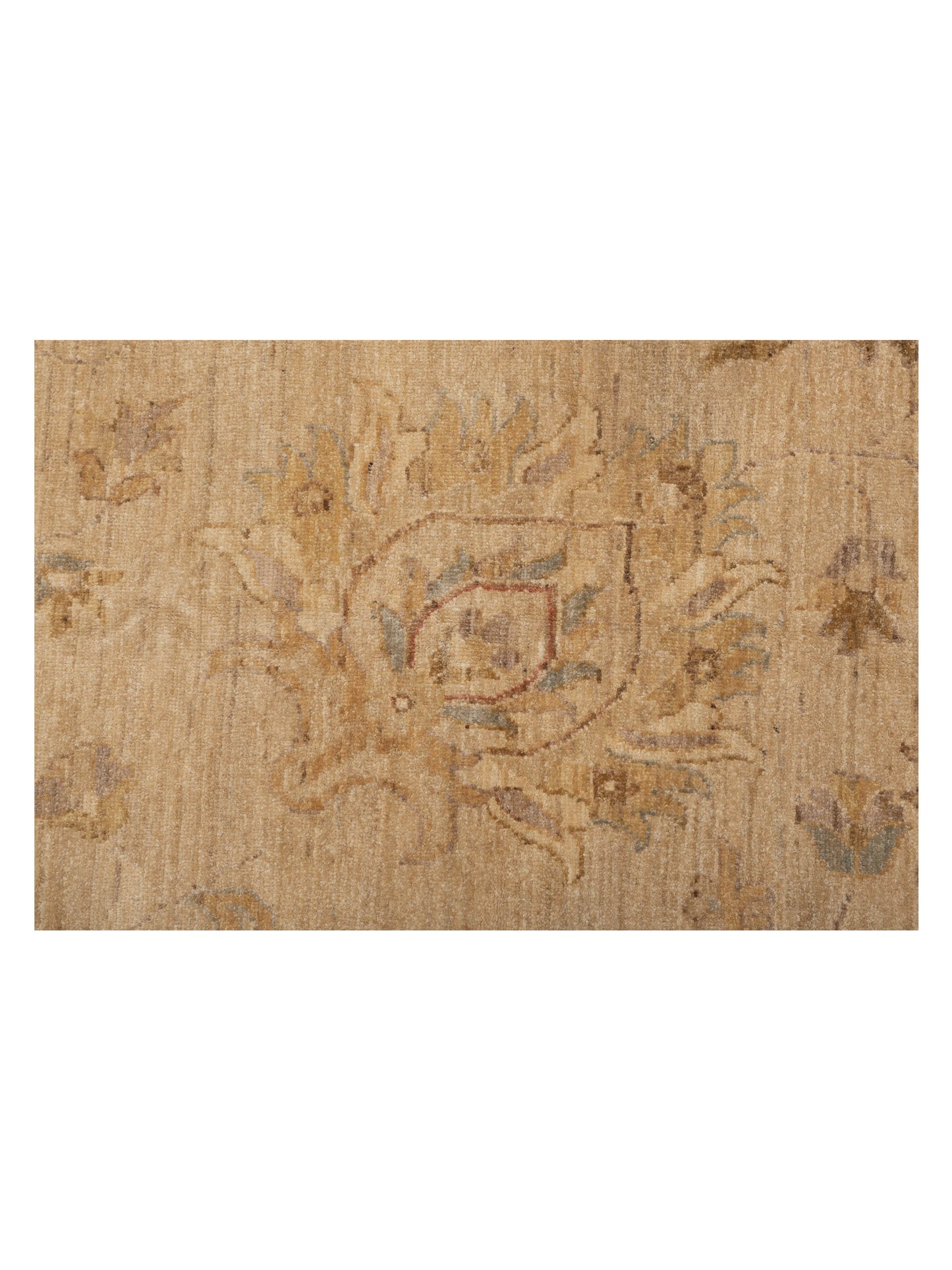 Sultan 113626 Ivory Gold 18.6x28.3 Hand Knotted Rug