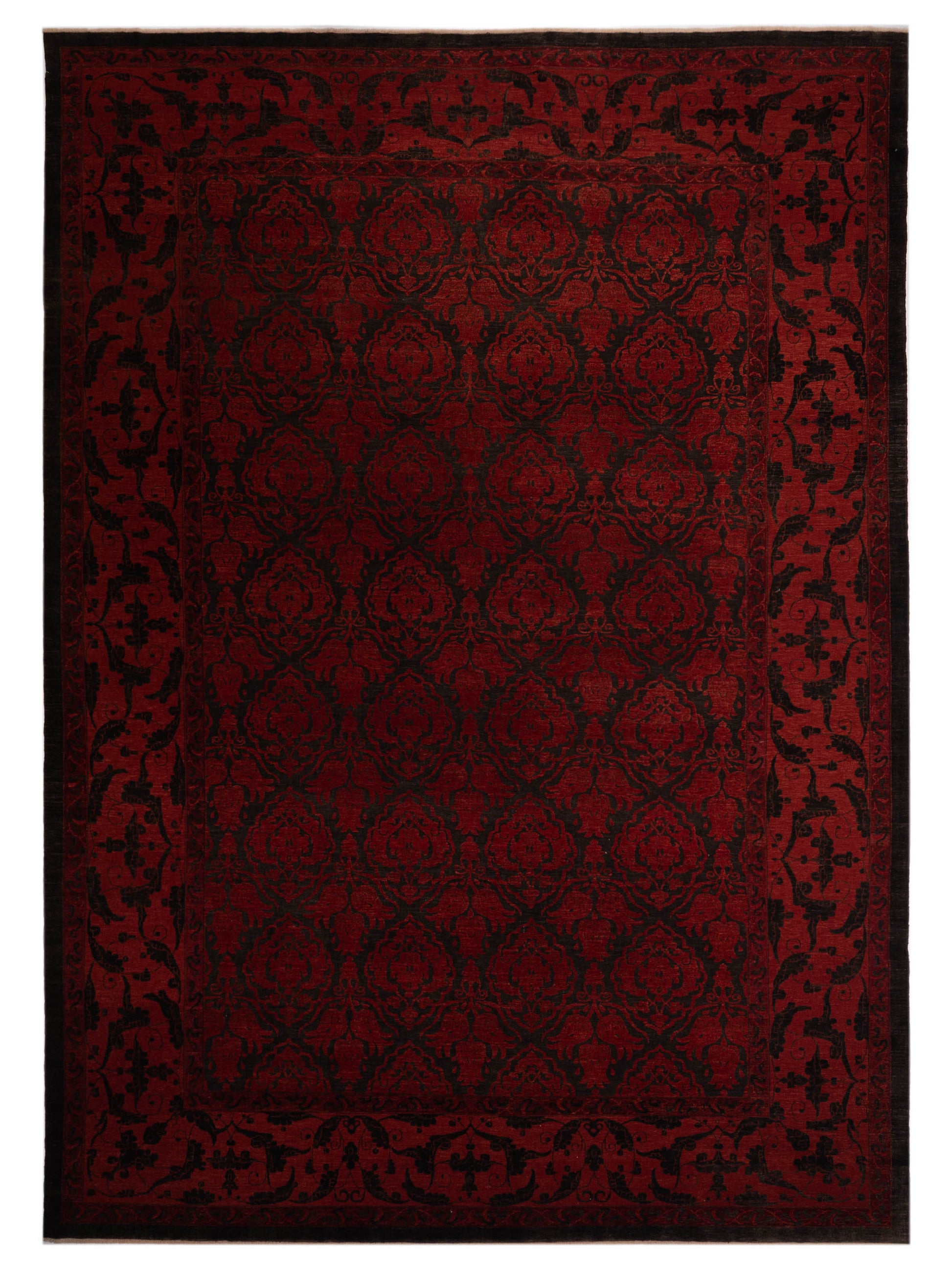 Pasha Defne  Charcoal Red Transitional