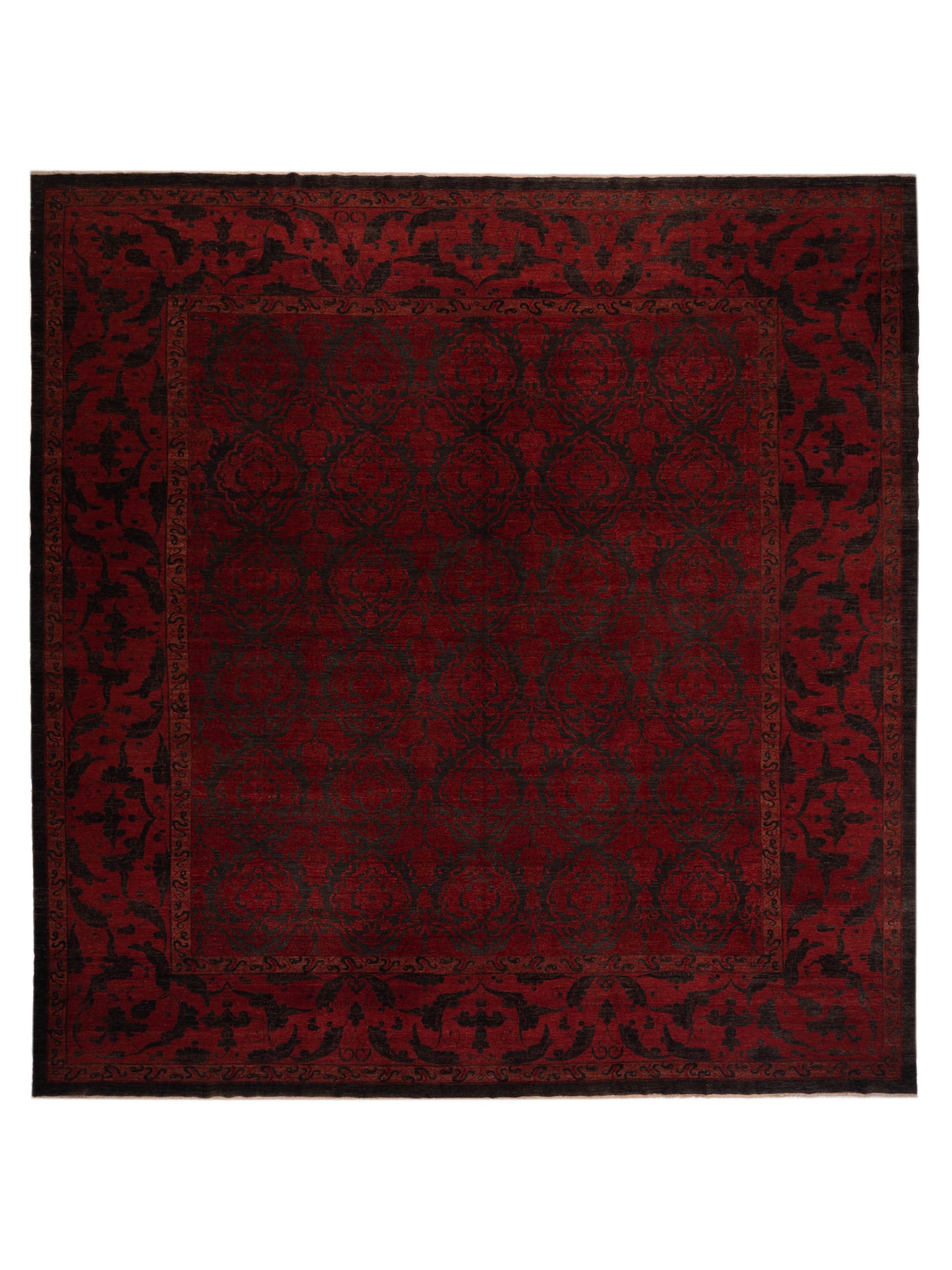 Pasha Defne Charcoal Red Transitional