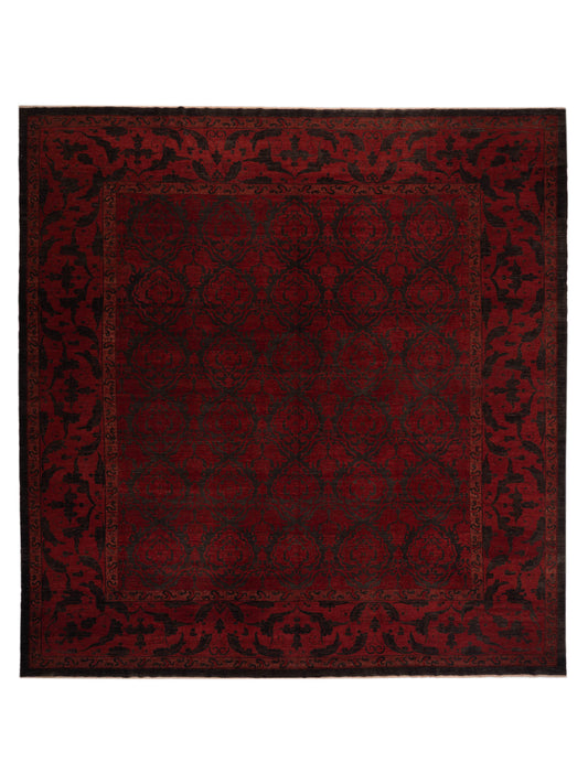 Pasha Defne  Charcoal Red Transitional