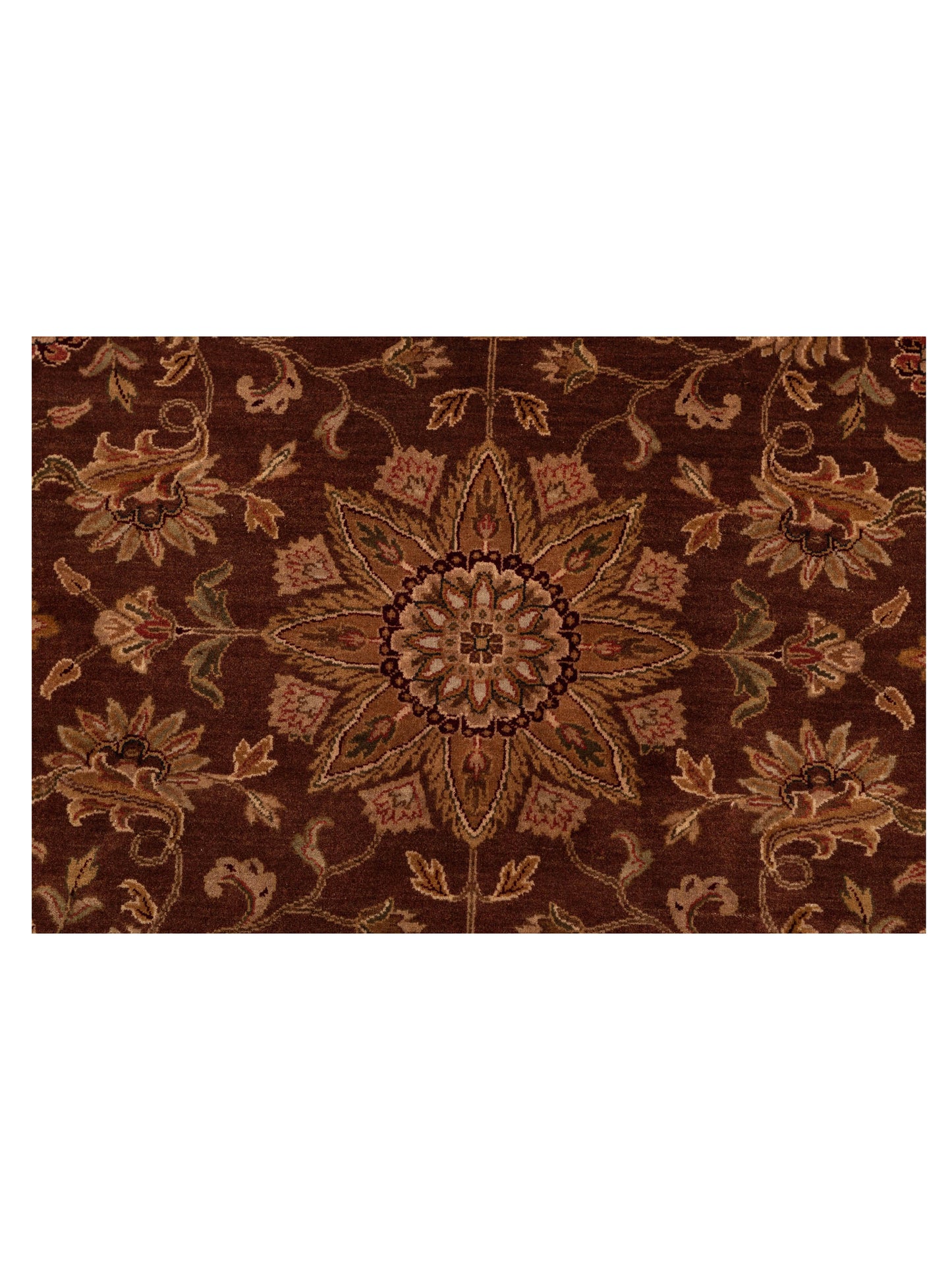 Empire 114732 Brown Ivory 8.8x11.8 Hand Knotted Rug