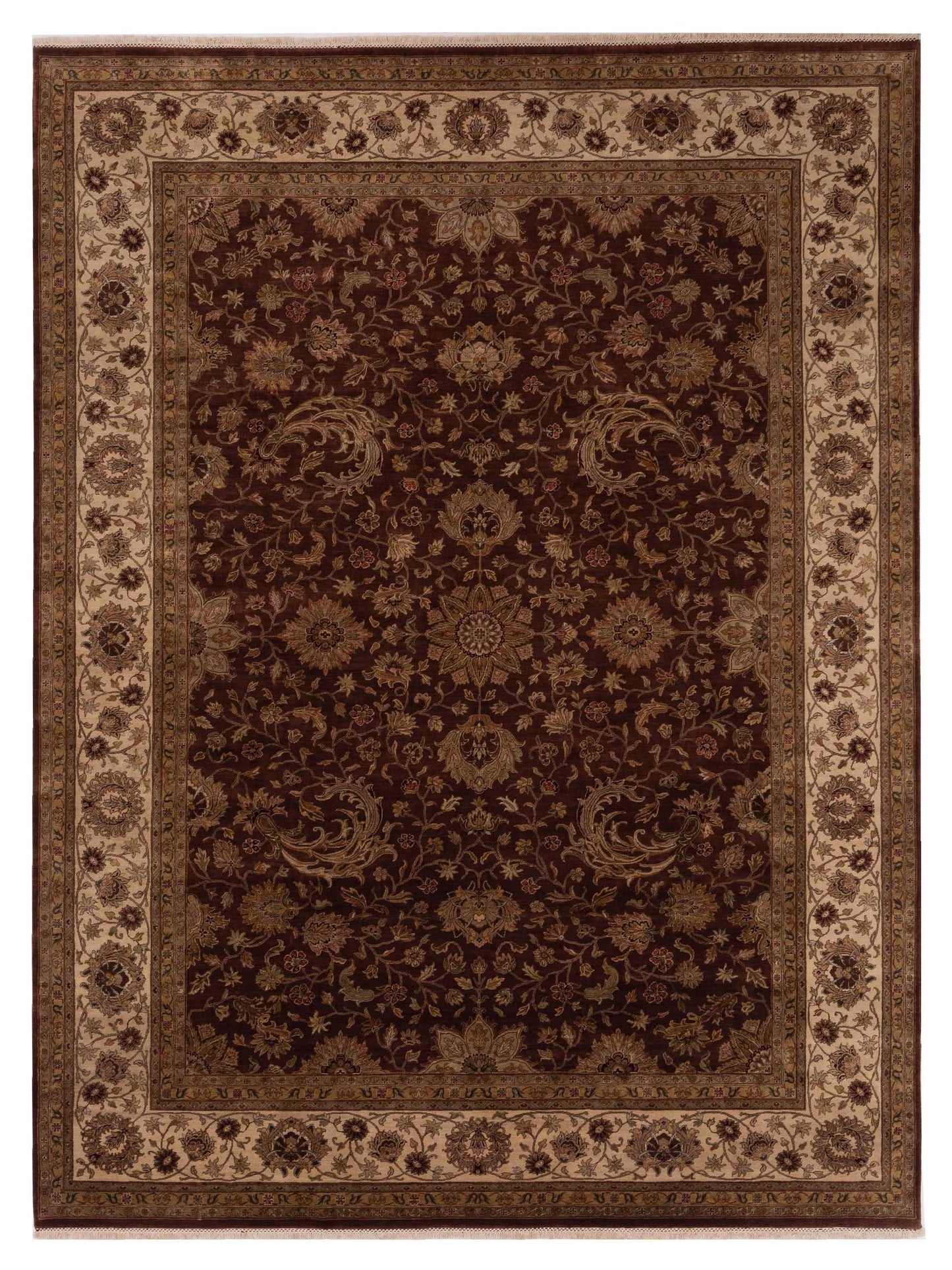 Rajpur Empire Brown Ivory Transitional