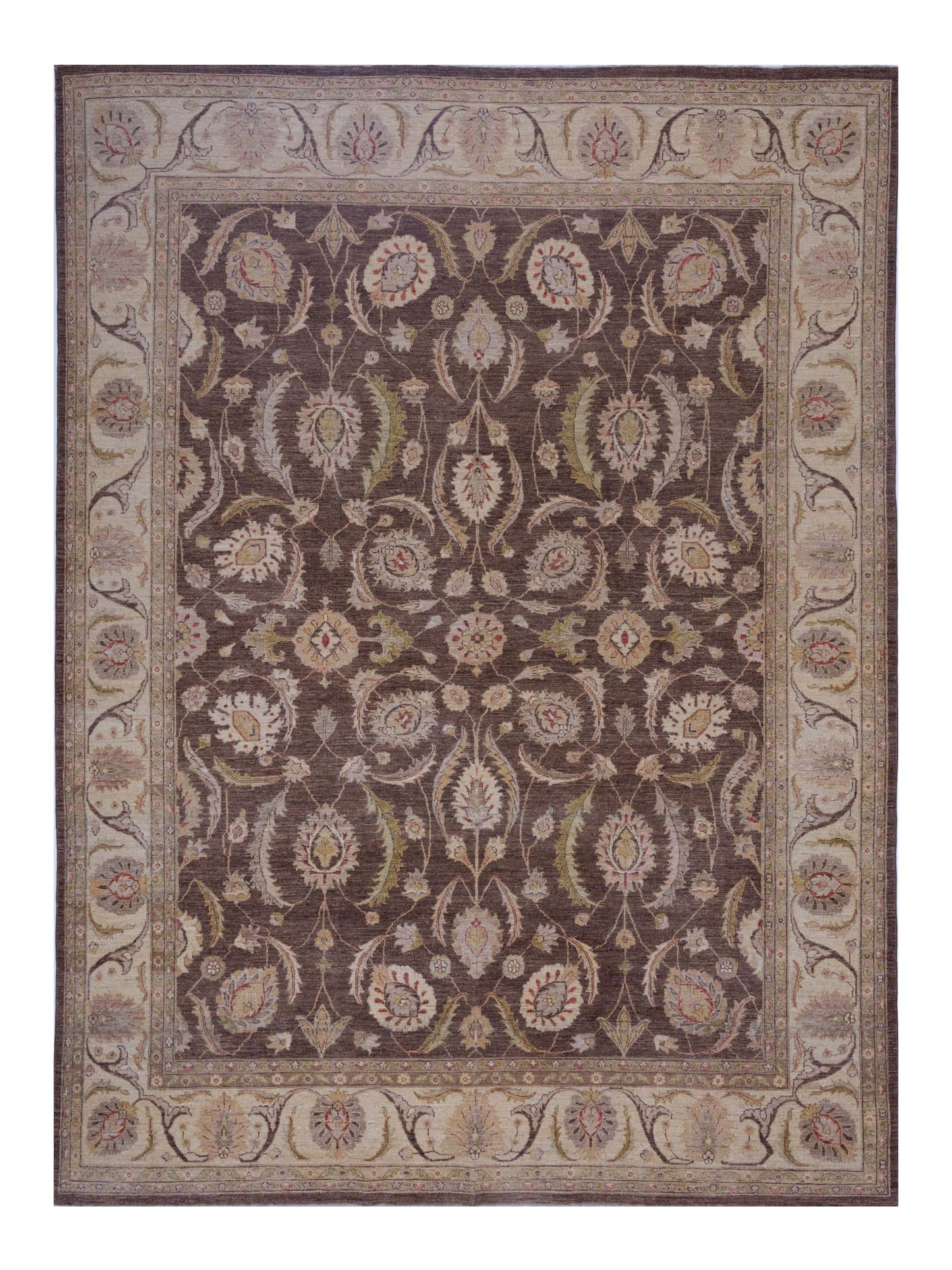 Pasha Sultan Brown Ivory Traditional