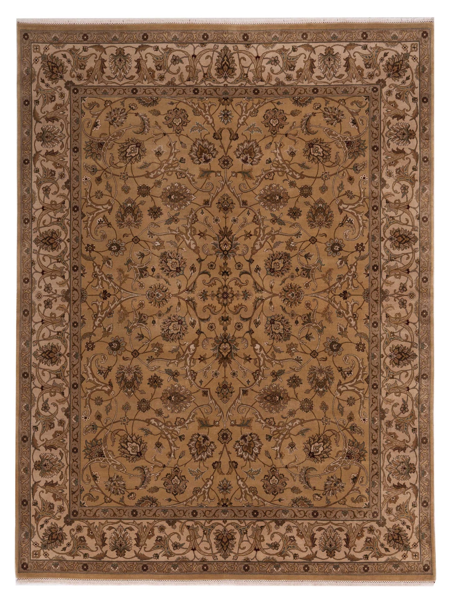 Rajpur Empire Gold Ivory Transitional